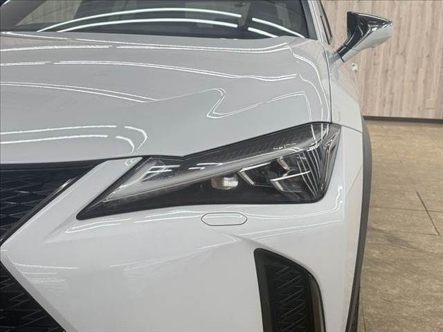 LEXUS UX250h AWD