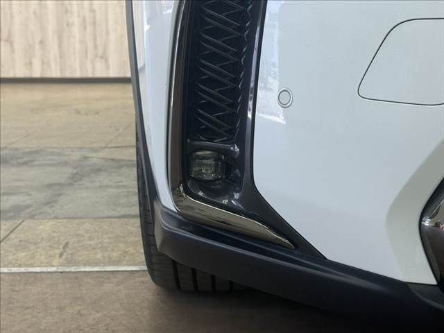 LEXUS UX250h AWD