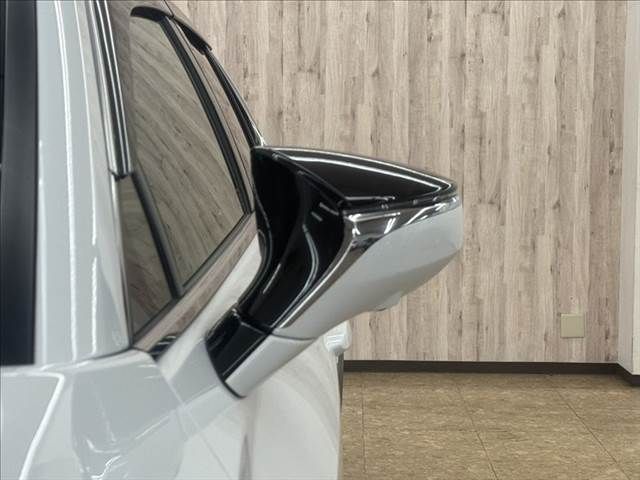 LEXUS UX250h AWD