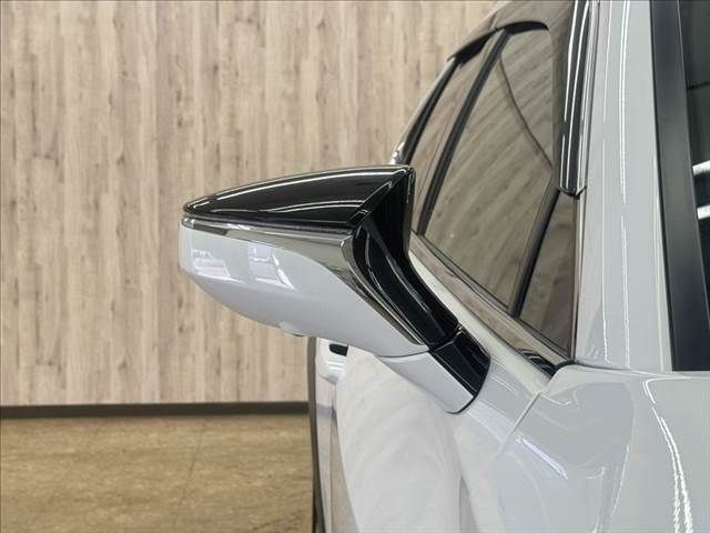 LEXUS UX250h AWD