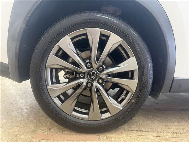 LEXUS UX250h AWD