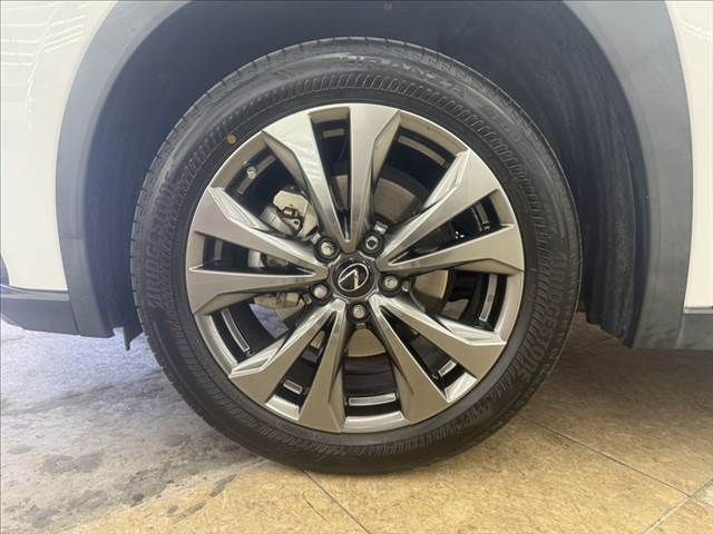 LEXUS UX250h AWD