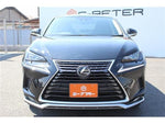 LEXUS NX300