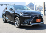 LEXUS NX300