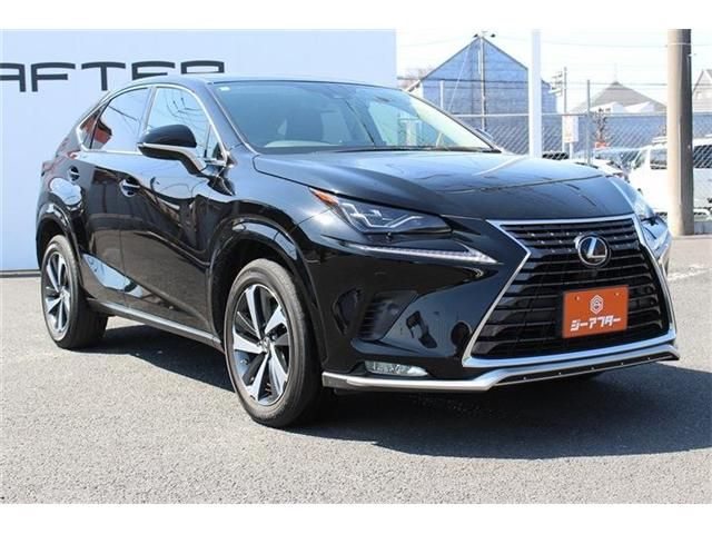 LEXUS NX300