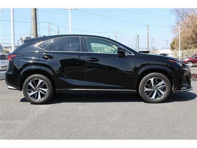 LEXUS NX300