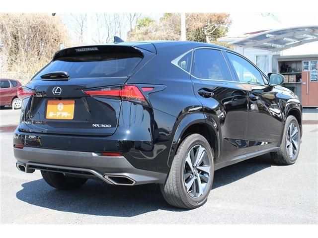 LEXUS NX300