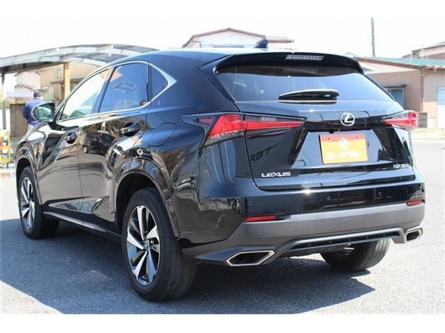 LEXUS NX300