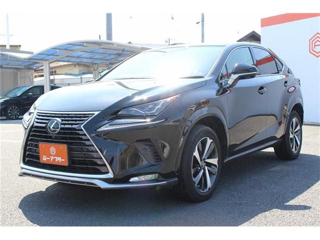 LEXUS NX300