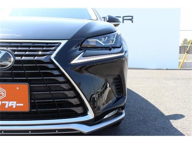 LEXUS NX300