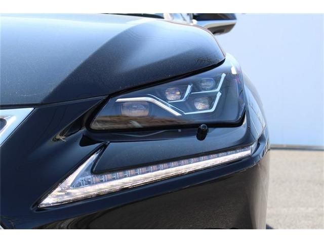 LEXUS NX300