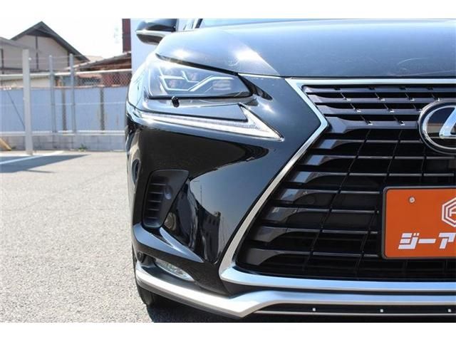 LEXUS NX300