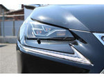 LEXUS NX300