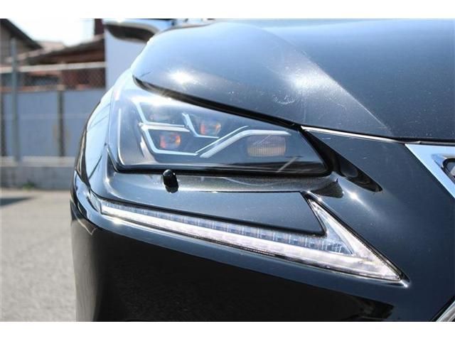 LEXUS NX300