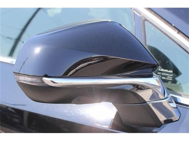 LEXUS NX300