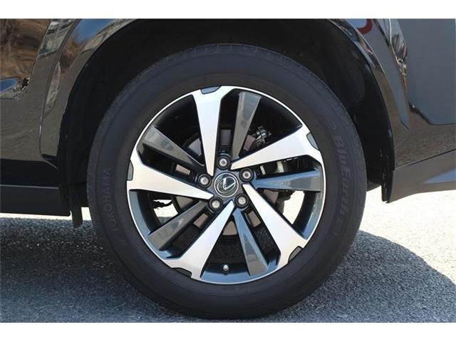 LEXUS NX300