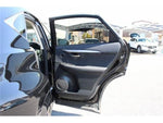 LEXUS NX300