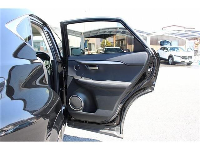 LEXUS NX300