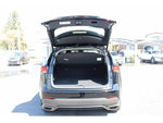 LEXUS NX300