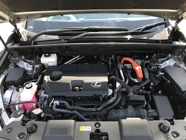 LEXUS NX350h AWD