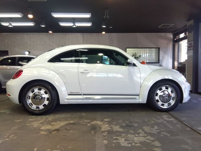 VOLKSWAGEN The BEETLE