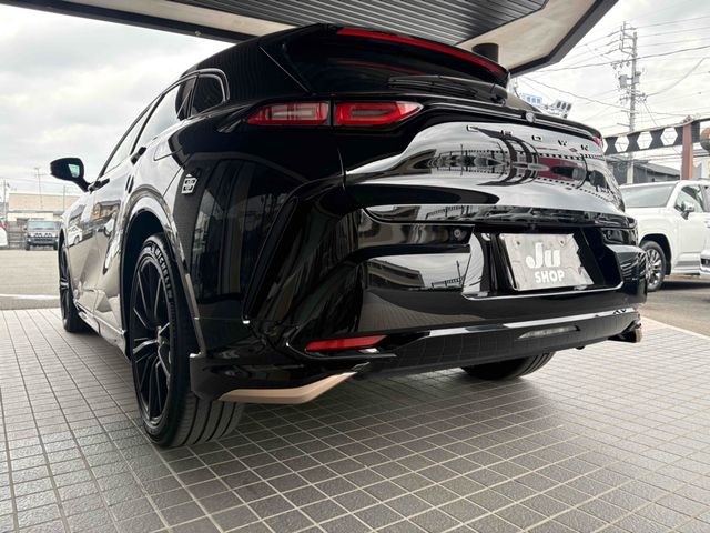 CROWN SPORT