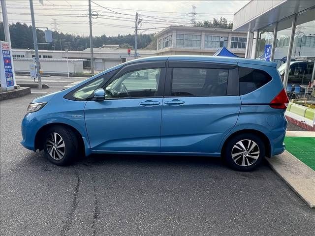 FREED plus HYBRID
