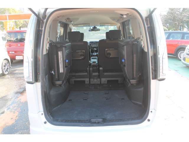 SERENA  S-HYBRID