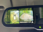 DAYZ ROOX