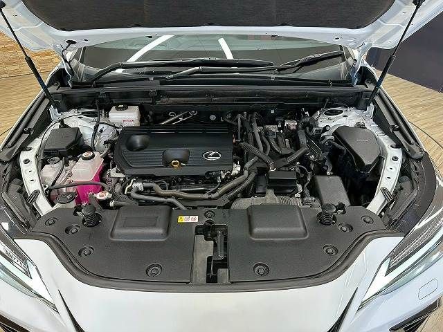 LEXUS NX350h
