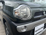 HUSTLER 4WD