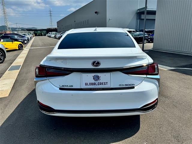 LEXUS ES300h