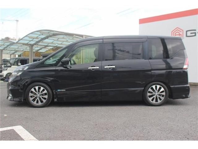 SERENA  S-HYBRID