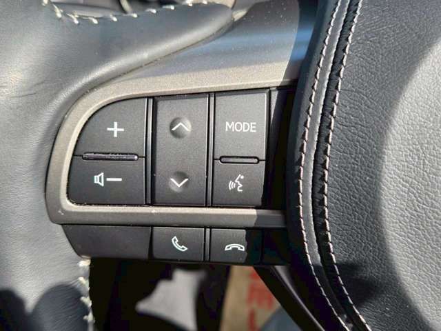 LEXUS GS300h