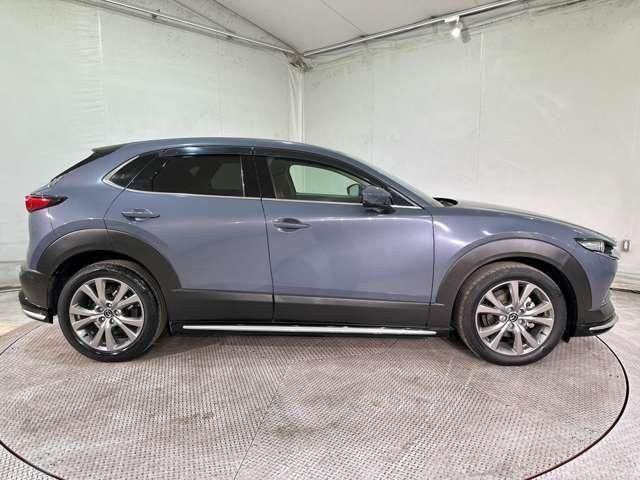 CX-30
