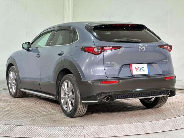 CX-30