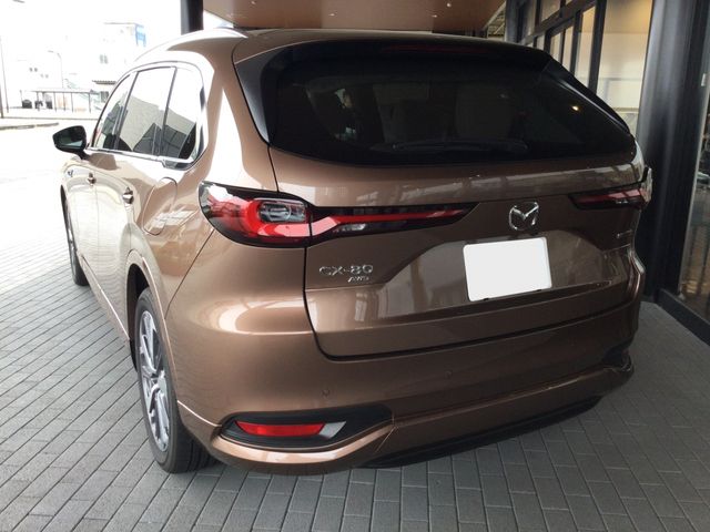 CX-80