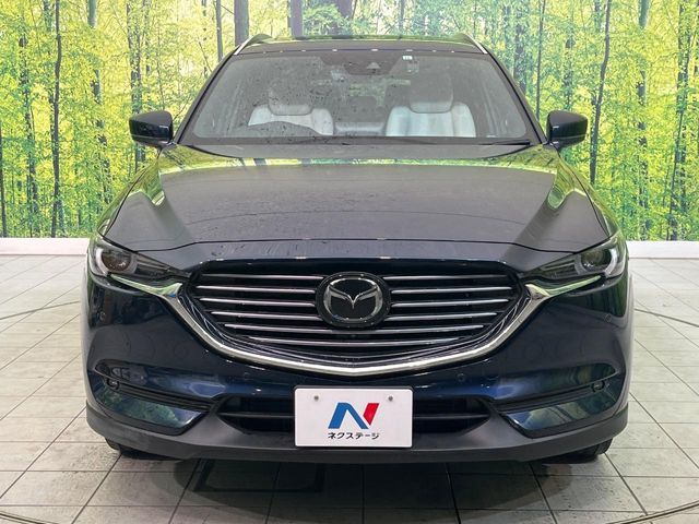 CX-8