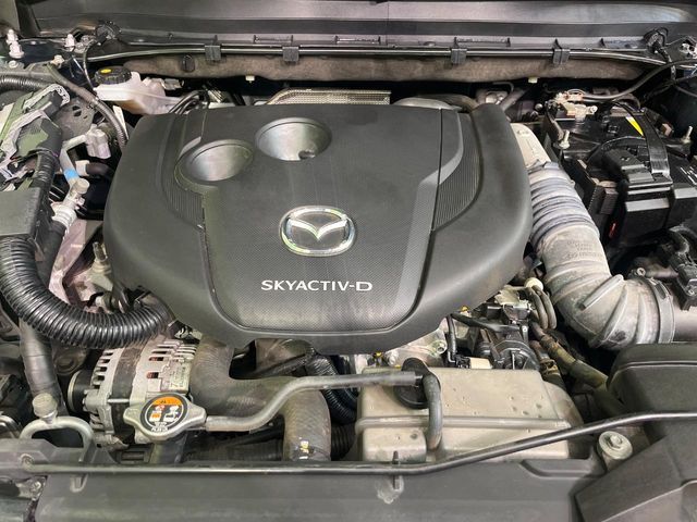 CX-8
