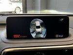 LEXUS RX300