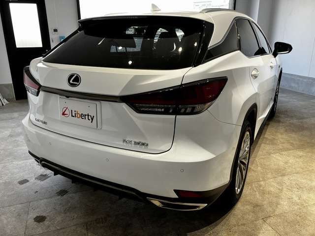 LEXUS RX300