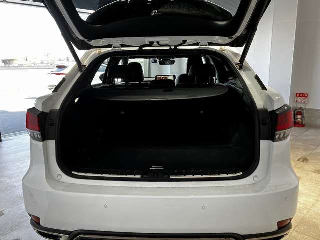 LEXUS RX300