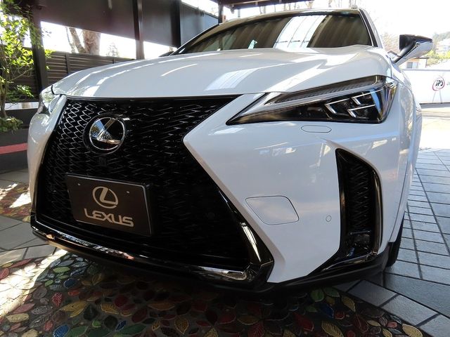 LEXUS UX300h