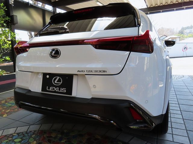 LEXUS UX300h