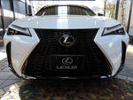 LEXUS UX300h