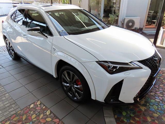 LEXUS UX300h