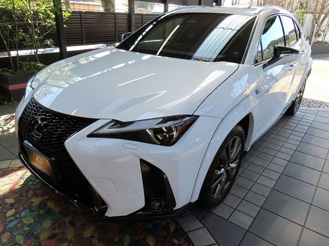 LEXUS UX300h