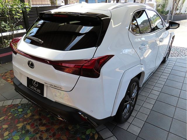 LEXUS UX300h