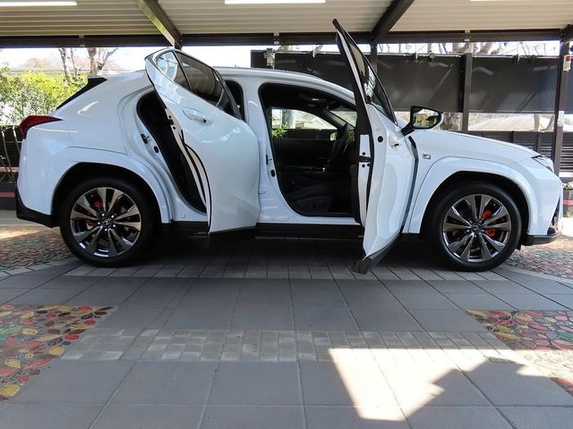 LEXUS UX300h