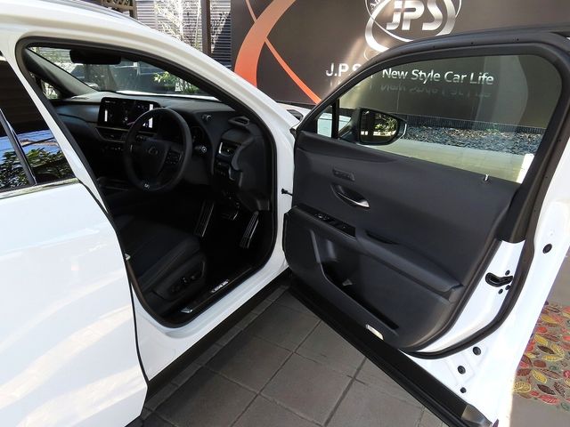 LEXUS UX300h